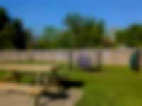 Dream Little Rock - Photo 8