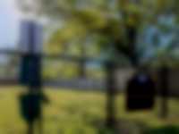 Dream Little Rock - Photo 9